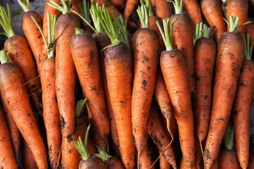 Plexiglas foto achterwand Pile of fresh carrots in market © xy