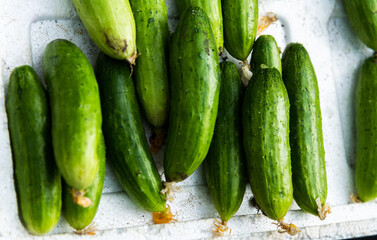 Pile of fresh cucumbers in market