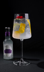 Elegant gin and tonic cocktail with garnishes