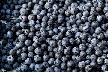 A pile of fresh blueberries in market