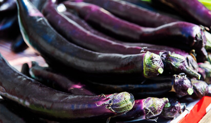 A pile of eggplants in market