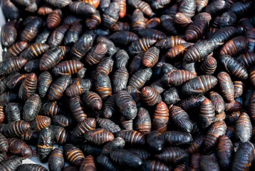 Keuken spatwand met foto A pile of silkworm pupae in market © xy