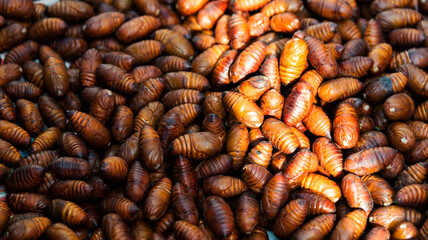 A pile of silkworm pupae in market - obrazy, fototapety, plakaty