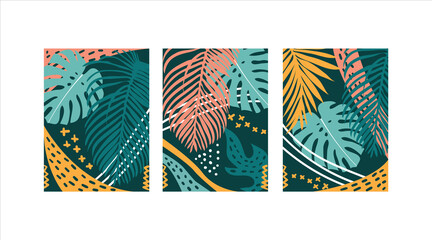Exotic plants, palm leaves, monstera on an isolated white background, vector illustration
