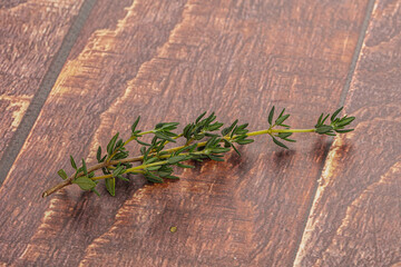 Aroma seasoning thyme stem with leaves