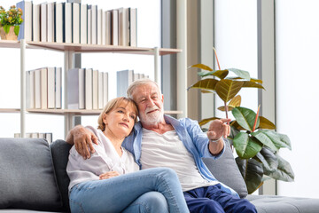 Senior couple in the living room, Elderly man and a woman relaxing on a cozy sofa at home, Happy...