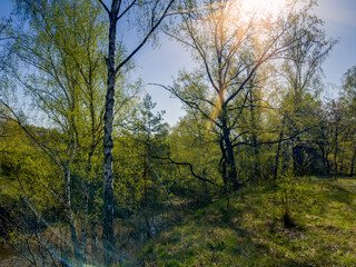 Hilly section of the spring forest with small lake, backlit - 787046111