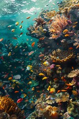 A bustling scene of numerous colorful fish swimming above a vibrant coral reef.
