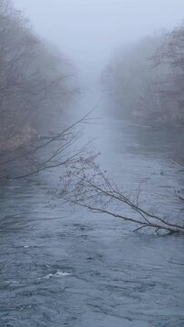 霧の朝の森の間を真っすぐに流れる川。