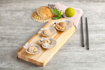 Raw natural scallop in its shell