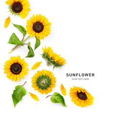 Sunflower flower, leaf and petals composition isolated on white background.