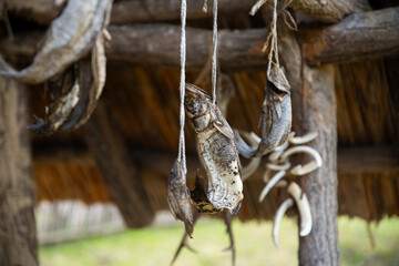 Air dried fish at ancient fisherman village