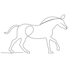 Horse Continuous single one line drawing illustration art vector design