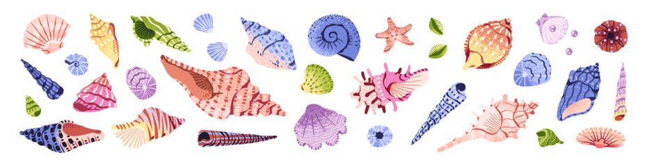 Ocean seashells set. Different beach sea shells: florida conch, scallop, cockle, mussel, cowrie. Various tropical mollusk, shellfish, snail. Flat isolated vector illustration on white background