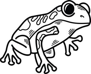 A frog with eyes is sitting on a white background