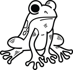 A frog with eyes is sitting on a white background