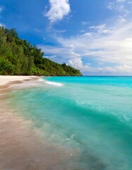 Fototapeta na wymiar Tropical paradise beach with crystal clear water