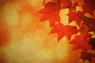 Autumn leaves over old paper. Perfect grunge fall background..