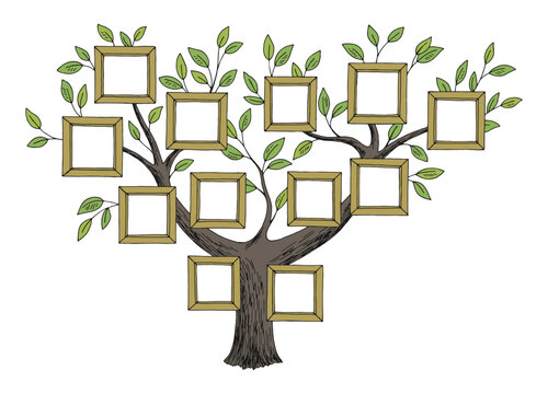 Family tree graphic color isolated sketch illustration vector 