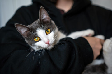 A woman is holding a kitten in her arms. The kitten is gray and white. The woman is wearing a black...