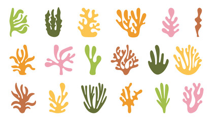 Abstract Algae seaweed shapes. Seaweed big set. Collection of colorful  underwater plants  vector illustration in flat style © Ann