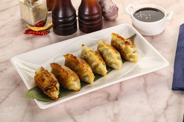 Fried Japanese stuffed dumplings - Gyoza