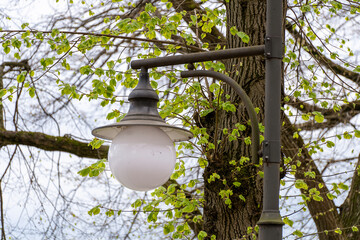 Round lamp on a pole in the park.