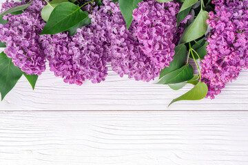 Blooming lilac flowers (syringa vulgaris) on white rustic wooden table. Top view banner with copy space