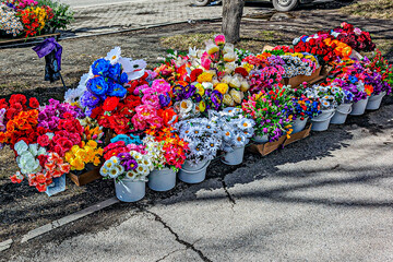Garden flowers for sale on the sidewalk on a spring day