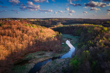 Spring landscape of the forest and twisted Radunia river in Kashubia. Poland - obrazy, fototapety, plakaty