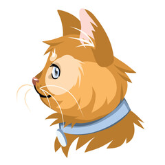 Fashionable cat boy, vector portrait on a white background