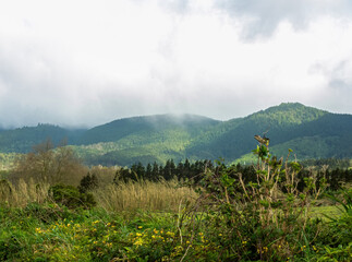 The hills on San Miguel, Azores in the wet fog. 