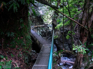 Obraz premium One of the best hikes on San Miguel, Azores - Salto do Cabrito. 