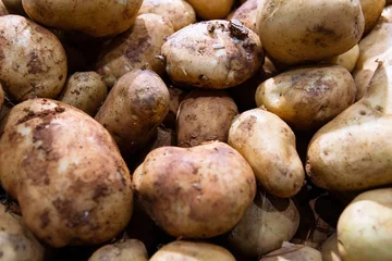 Outdoor kussens Pile of potatoes in market © xy