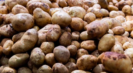 Gordijnen Pile of potatoes in market © xy