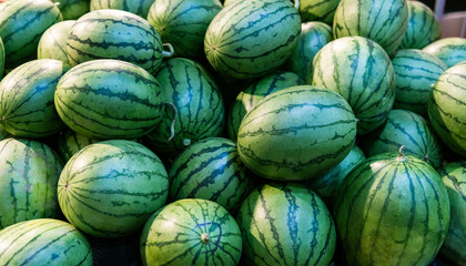 Pile of fresh watermelons in market