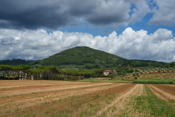 Rural landscape near Montecatini, Tuscany
