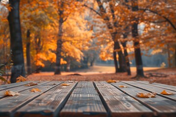 Wooden Deck Leading to a Stunning Autumn Forest