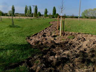 the biocorridor in the meadow will be enlarged by new beds with bushes. the trees are already planted and the farmer has prepared the land in strips by plowing