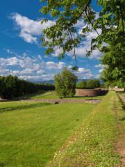 Lucca ancient city walls beautiful park between San Donato Bulwark and Santa Croce Bulwark - 787069768