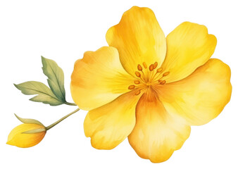 Obraz na płótnie Canvas PNG Flower hibiscus blossom yellow. AI generated Image by rawpixel.
