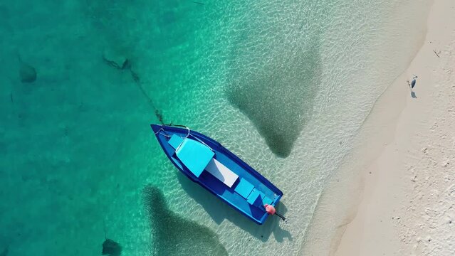Fulidhoo, Maldives: Overhead aerial drone footage of the Fulidhoo local island beach with a stingray swimming through a school of fish in the Vaavu atoll in the Indian ocean. 