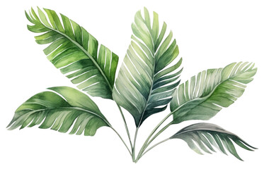 PNG Plant leaf art white background. AI generated Image by rawpixel.