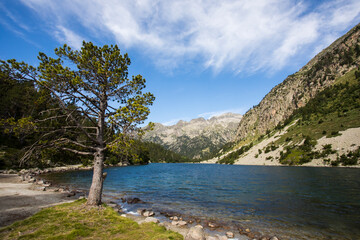 Summer landscape in Vall de Boi in Aiguestortes and Sant Maurici National Park, Spain