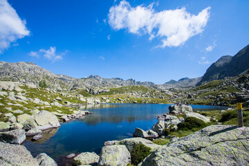 Summer landscape in Vall de Boi in Aiguestortes and Sant Maurici National Park, Spain - obrazy, fototapety, plakaty