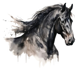 PNG Horse stallion drawing animal.  - obrazy, fototapety, plakaty