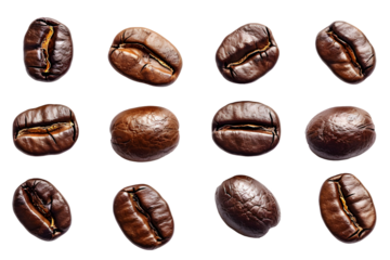Collection of coffee beans top view isolated on transparent background