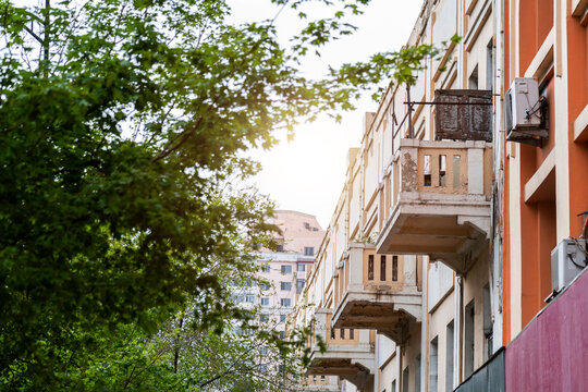 Green trees in front of buildings