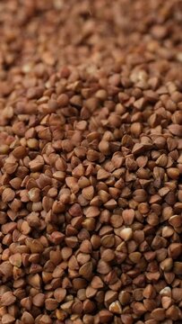 Heap of buckwheat grains in macro, rotation