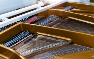 Internal structure of grand piano